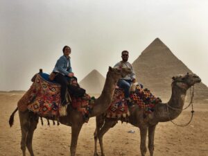 Camels, Giza