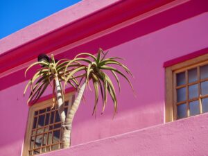 Bo Kaap, Cape Town