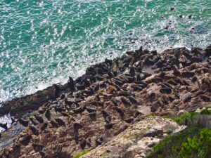 Robberg Nature Reserve, Garden Route, South Africa