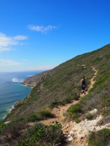 Robberg Nature Reserve, Garden Route, South Africa