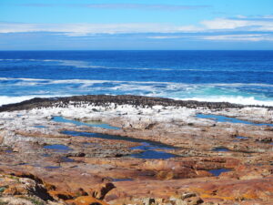 Robberg Nature Reserve, Garden Route, South Africa