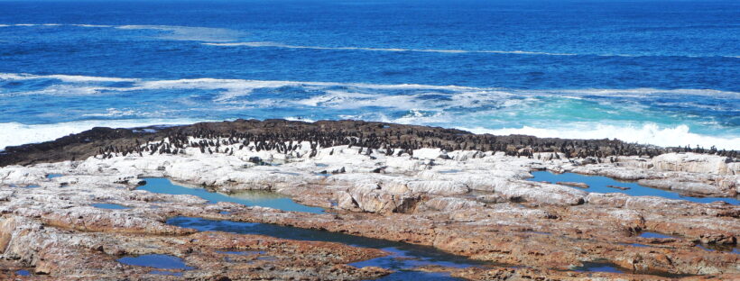 Robberg Nature Reserve, Garden Route, South Africa