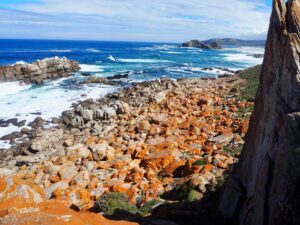 Robberg Nature Reserve, Garden Route, South Africa