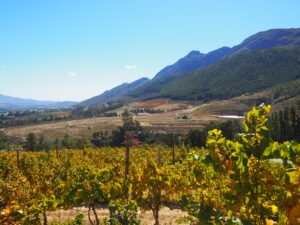 Franschhoek Mountains