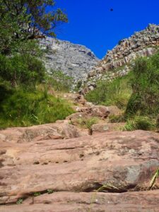 Table Mountain, South Africa