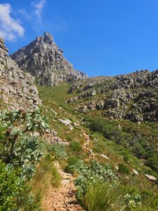 Table Mountain, South Africa