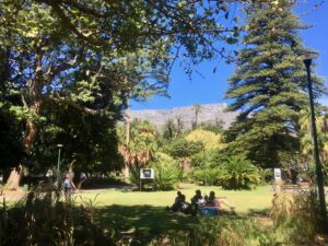 Company's Garden, Cape Town