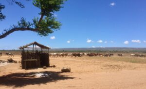 Drive to Berenty Reserve, Madagascar