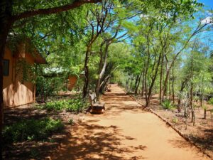 Berenty Reserve, Madagascar