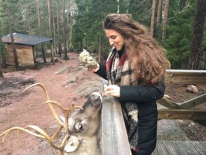 Reindeer, Helsinki, Finland