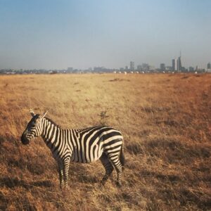 Nairobi National Park, Kenya