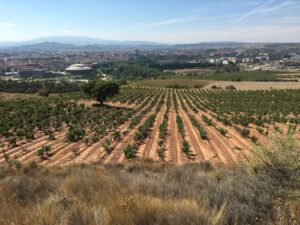 Logrono, Spain