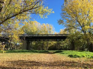 Logrono, Spain in Autumn