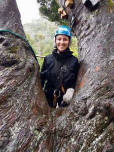 Zip line in storms river