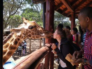 Giraffe Centre, Nairobi, Kenya